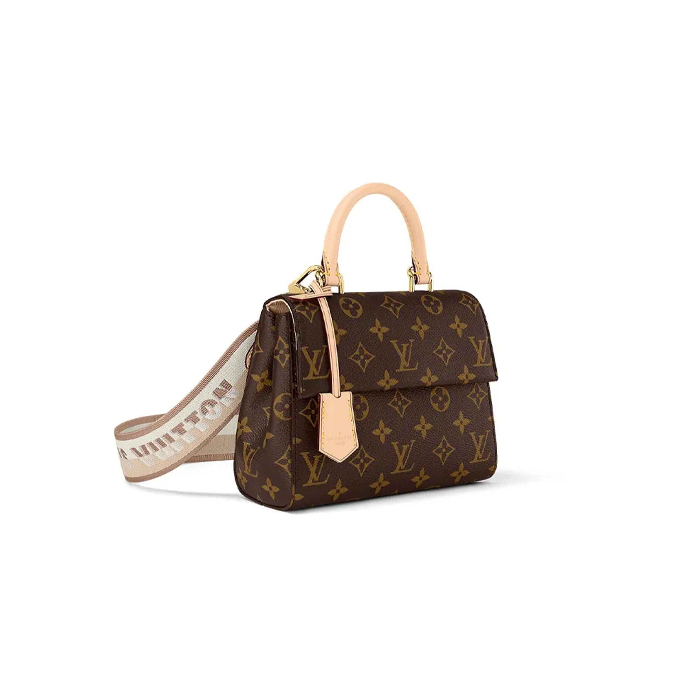 LOUIS VUITTON CLUNY MINI M46055 (20*16*7.5cm)
